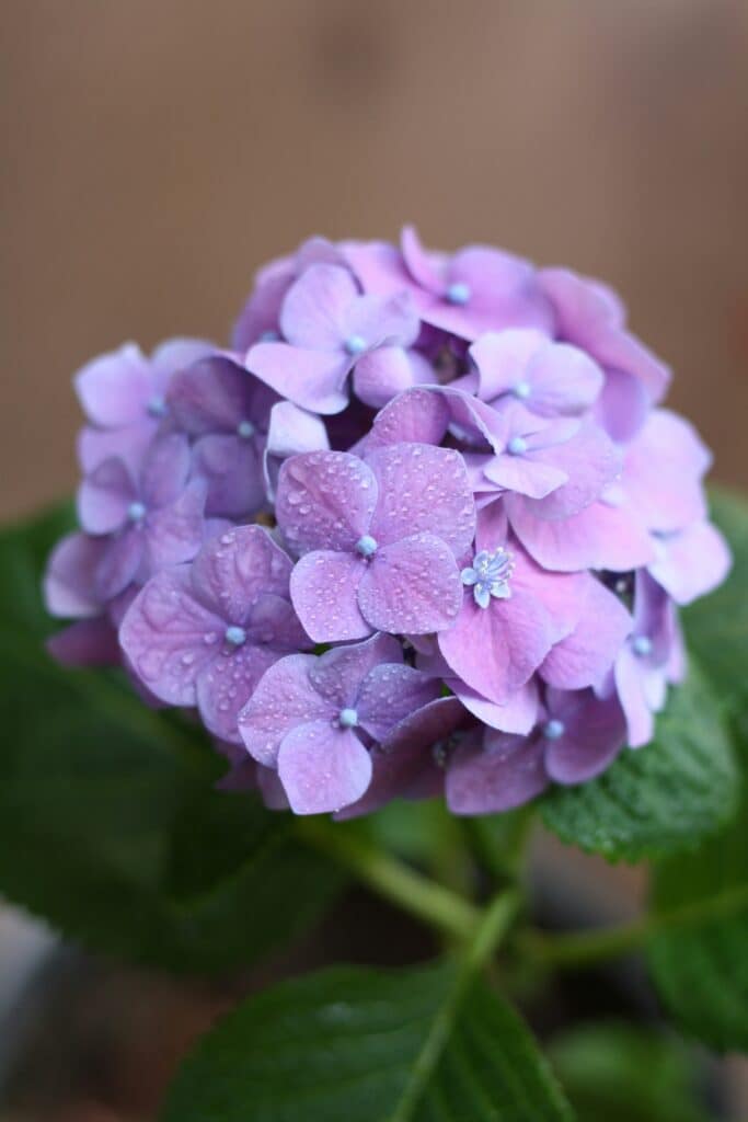 This image has an empty alt attribute; its file name is prosha-amiri-uaj3mSZ_bHA-unsplash-2-683x1024.jpg